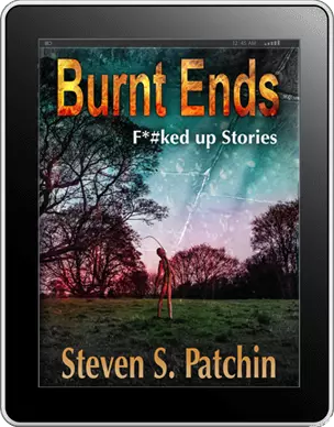 Burnt Ends, F*#ked up Stories (e-Book) $5.99